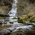 Exploring the Best Hiking Trails in Nashville, TN